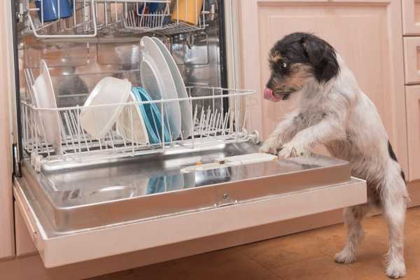 Use these steps to maintain your home's dishwasher.