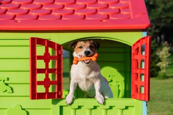 If you're a pet owner that's hoping to sell your home, this one is for you.